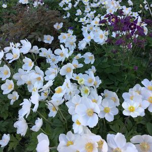 Meet your Posher, Molly